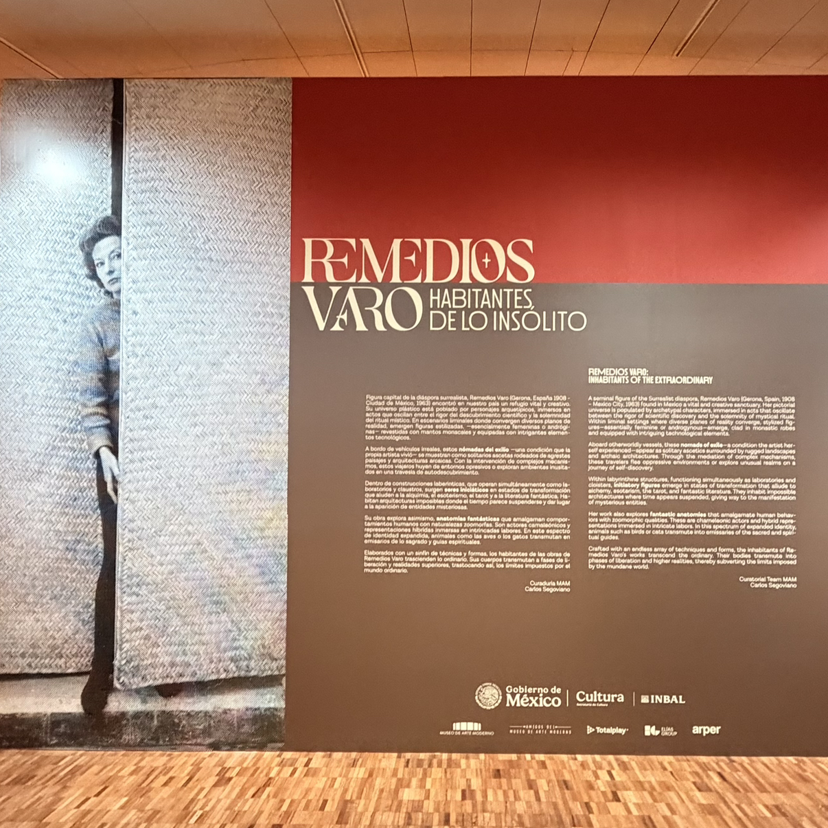 Habitantes, de lo insólito — Remedios Varo